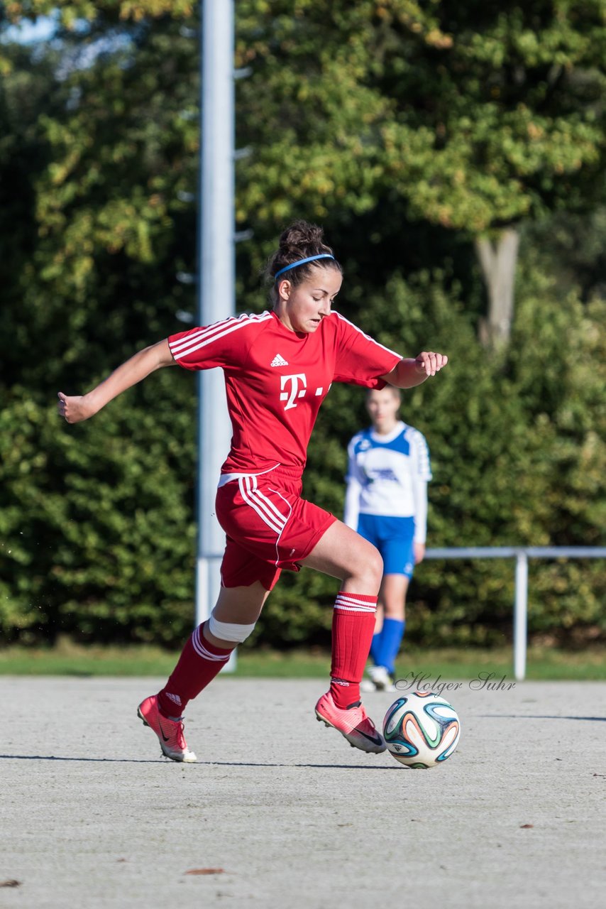 Bild 253 - Frauen SV Wahlstedt - Bramstedter TS : Ergebnis: 12:0